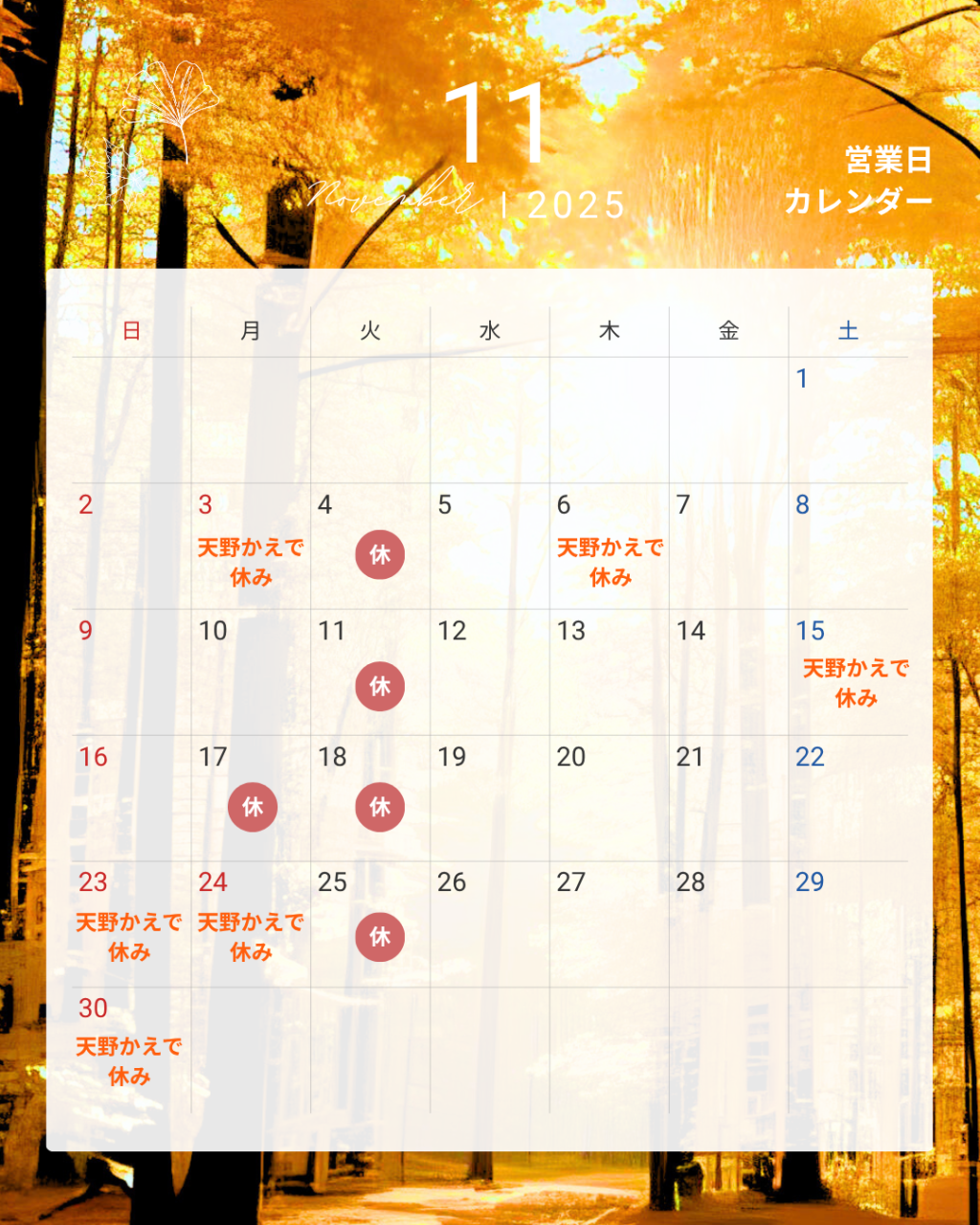 11月のお休み
